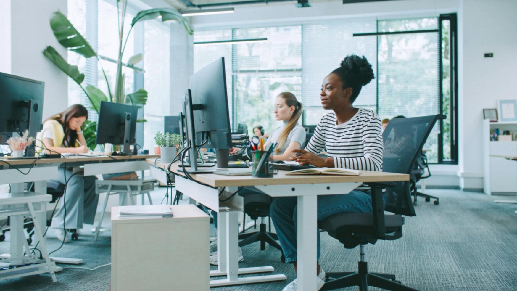 Analiză detaliată de bugete și proiecții economice